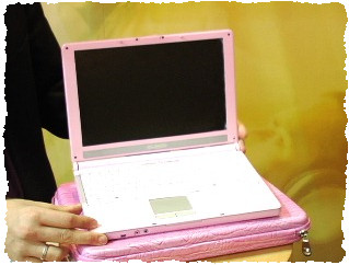 Иллюстрация к записи «Какой ноутбук подарить девушке – оригинальные решения для женщин»