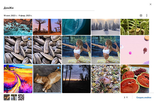 Как использовать теги и другие инструменты OneDrive для управления фотографиями