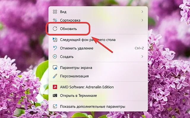 Пример использования команды для обновления рабочего стола системы Windows