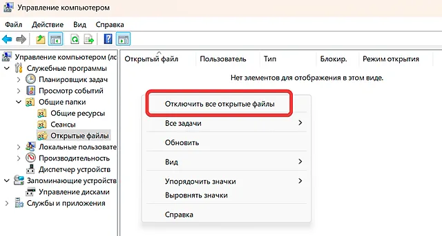 Отключение всех открытых в локальной сети файлов через управление компьютером
