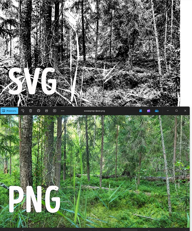 Сравнение изображений после преобразования из формата PNG в формат SVG