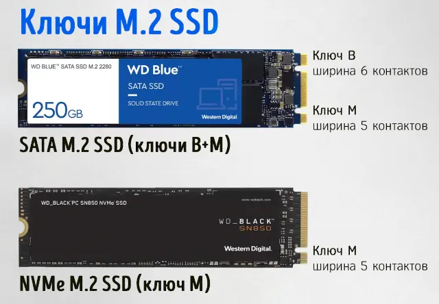 Ключи разъёмов на дисках SSD M.2