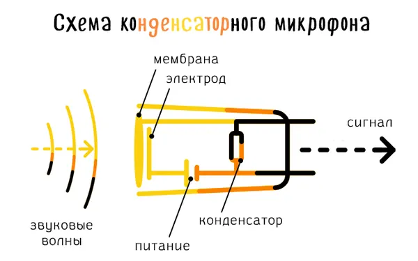 Схема устройства конденсаторного микрофона