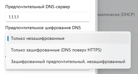 Выбор метода шифрования DNS
