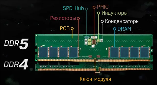 Иллюстрация показывающая анатомию модуля памяти DDR4 и DDR5 для сравнения