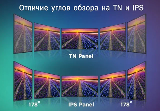 Различия углов обзора между мониторами TN и IPS