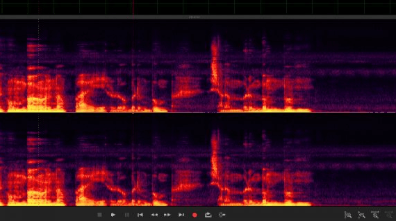 Спектральное изображение звука после удаления шума